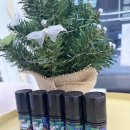 브이랜드 이미지