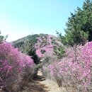 서원곡 체육시설 이미지