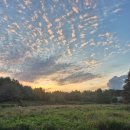 부곡도서관옆공원 | 평택 배다리공원 &amp; 배다리도서관 후기 — 자연 속에서 책 한 권의 여유를 느끼다