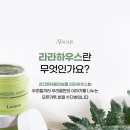 라라 하우스 이미지