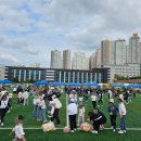 동성럭키유치원 Daum카페