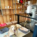 리트그룸 이미지