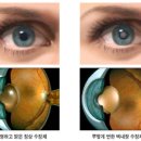 수안약국 이미지