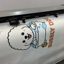 인동43길-11 이미지