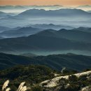 황매산 억새축제 이미지