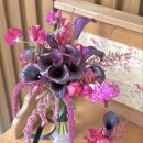 사파동131 이미지