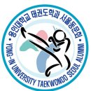 용인대미르태권도 이미지
