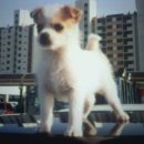 사온누리 이미지