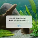 대치피엘학원 | 진짜 어쩔 수 없이 놀아야겠음