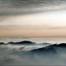 양희 - 동구 | 양희