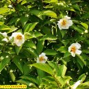 대화농업체험공원 이미지