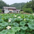 산새농원 이미지
