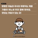 부평구노인인력개발센터(부평어울림센터) 이미지