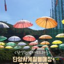 고투어로 | [단양랜덤미션트래블] 아이와 함께 즐기는 단양(ft.단양사계절썰매장+충청도순대국)
