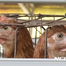 북산농장 이미지