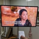 서초대로33길 67 (1) | 3월 일상 1 (할수있다!)