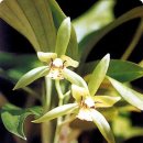 죽백3로 이미지