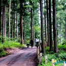 춘천 송암스포츠타운 족구장 이미지