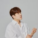 디셈그린