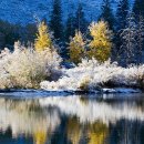 Reminiscence 이미지