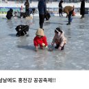 화천군 교통약지이동지원센터 | 2026홍천강 꽁꽁 축제 1월 9일 인삼 송어낚시 입장료 할인 맨손 잡기 얼음썰매 부교 낚시 주차장 체험...