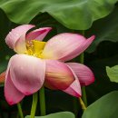 속초초등학교 이미지