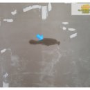 꿀벌상가 이미지