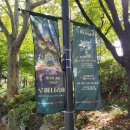 채연푸드 | 잠실석촌호수: [2025호수의 가을과 겨울 그리고 루미나리에] 개막식 후기/ 유스피어 봄!