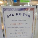 부천 데이트 &#39;댕댕냥냥 부천점&#39; | 부천 가볼만한 곳 추천