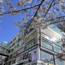 유진환경 | 용인 동백 미용실 추천 찰스리헤어테크 용인동백점 유진대표원장 힐링스파 후기