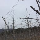 지은이농장 이미지