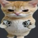 연어쁘다 이미지