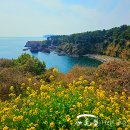 제주탐라단식원&휴미락힐링센터 이미지