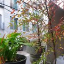 내곡동445 이미지