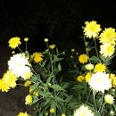 수도산쉼터 이미지