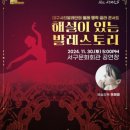 해설이 있는 발레 티스토리