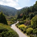 베이컨가평 이미지