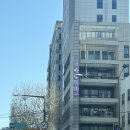 천하 | 서울쑥뜸 추천 쑥뜸천하 후기 +쑥뜸 장점 주의사항 꿀팁