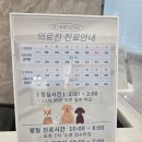 허그동물의료센터 | 부산 동물병원 추천 고양이 심장 검사 진료 종합백신 허그동물의료센터