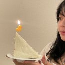 미손샵 | [다카마쓰 🇯🇵 여행(3)] 현지 사시미 맛집 이자카야 카이센 우마이몬야 / 귀여운 소도시 다카마쓰 먹고...