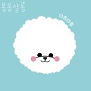 몽몽살롱 이미지