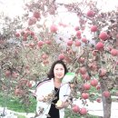 노티농장 이미지