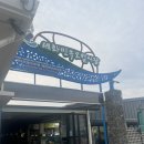세화소품관 | (광고)세화해변 걷다가 발견한 소품 천국, 세화소품관 구경 후기