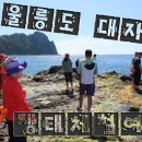 울릉도PC 이미지