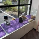 달링하이 포항점 이미지