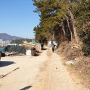 돌산 진모축구장 이미지