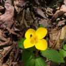 매봉농장 이미지