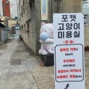 포캣(for cat) 이미지