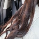 서현좋은꿈참사랑한의원 | 11月(1): 보름달을 조명 삼아 사랑을 속삭이기 딱 좋은 밤