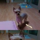 화곡4동 이미지